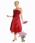 Short Dress 3598
